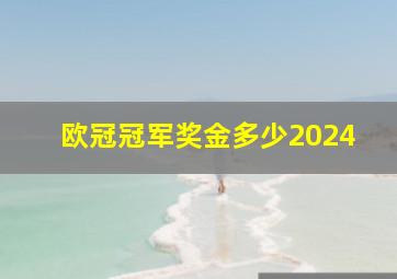 欧冠冠军奖金多少2024