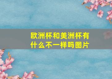 欧洲杯和美洲杯有什么不一样吗图片