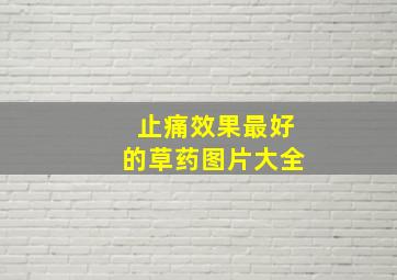 止痛效果最好的草药图片大全