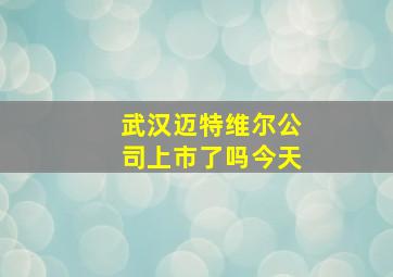 武汉迈特维尔公司上市了吗今天