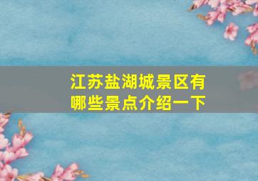 江苏盐湖城景区有哪些景点介绍一下