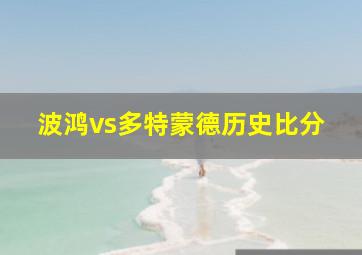 波鸿vs多特蒙德历史比分