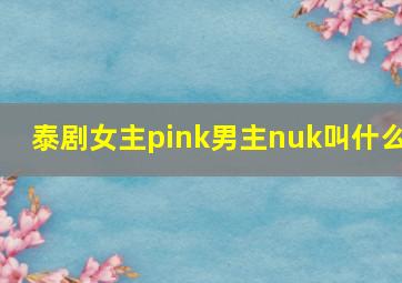 泰剧女主pink男主nuk叫什么