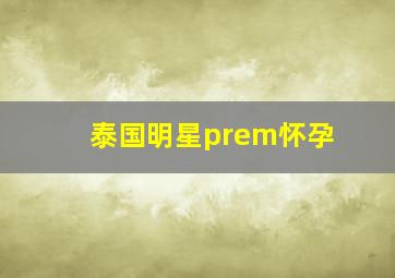 泰国明星prem怀孕