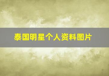 泰国明星个人资料图片