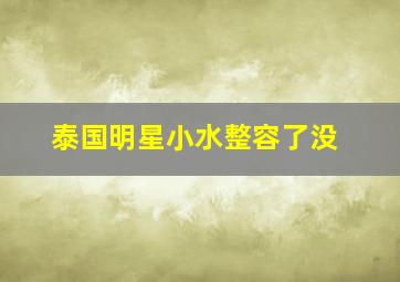 泰国明星小水整容了没