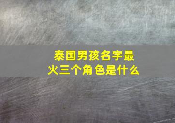 泰国男孩名字最火三个角色是什么