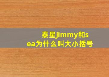 泰星Jimmy和sea为什么叫大小括号