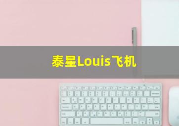 泰星Louis飞机