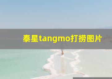 泰星tangmo打捞图片