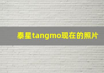 泰星tangmo现在的照片