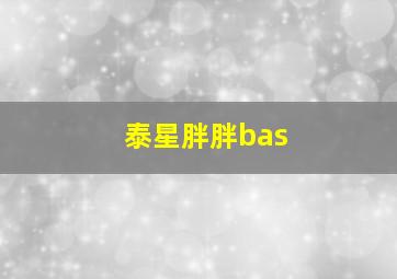 泰星胖胖bas