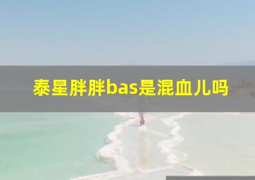 泰星胖胖bas是混血儿吗