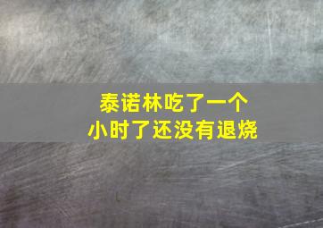 泰诺林吃了一个小时了还没有退烧