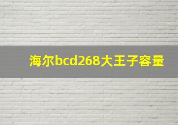 海尔bcd268大王子容量