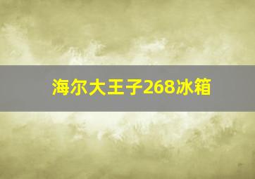 海尔大王子268冰箱