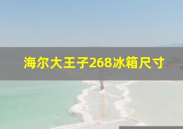 海尔大王子268冰箱尺寸