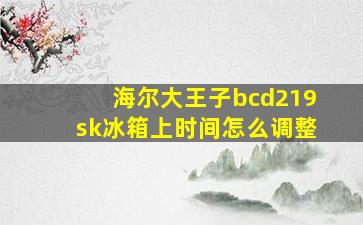 海尔大王子bcd219sk冰箱上时间怎么调整