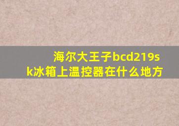 海尔大王子bcd219sk冰箱上温控器在什么地方