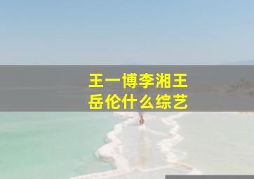 王一博李湘王岳伦什么综艺