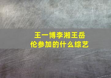 王一博李湘王岳伦参加的什么综艺