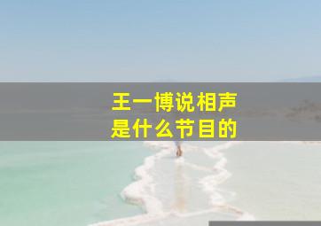 王一博说相声是什么节目的