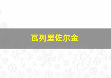 瓦列里佐尔金