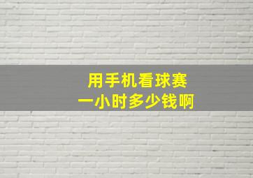 用手机看球赛一小时多少钱啊