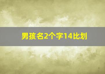 男孩名2个字14比划