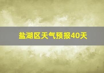 盐湖区天气预报40天