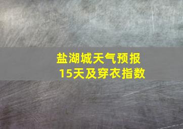 盐湖城天气预报15天及穿衣指数