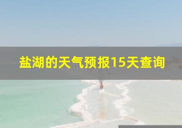 盐湖的天气预报15天查询