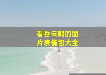 看岳云鹏的图片表情包大全