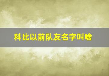 科比以前队友名字叫啥