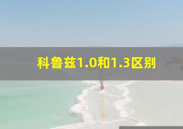 科鲁兹1.0和1.3区别