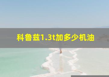 科鲁兹1.3t加多少机油