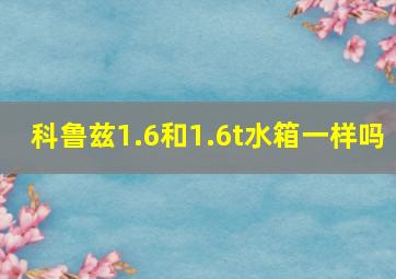 科鲁兹1.6和1.6t水箱一样吗