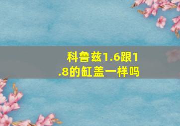 科鲁兹1.6跟1.8的缸盖一样吗