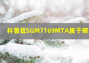 科鲁兹SGM7169MTA属于哪一款