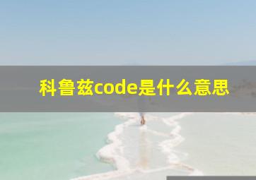 科鲁兹code是什么意思