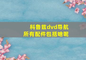 科鲁兹dvd导航所有配件包括啥呢