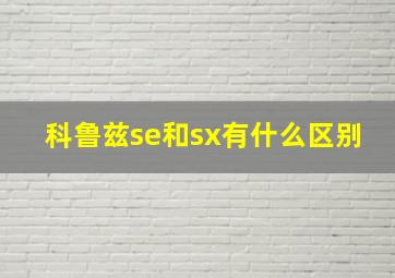 科鲁兹se和sx有什么区别