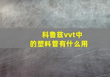 科鲁兹vvt中的塑料管有什么用