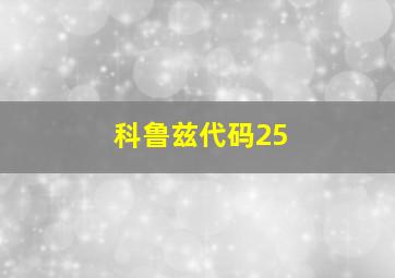 科鲁兹代码25