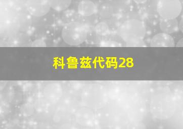 科鲁兹代码28