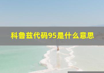 科鲁兹代码95是什么意思