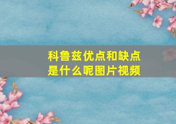 科鲁兹优点和缺点是什么呢图片视频