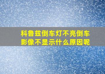 科鲁兹倒车灯不亮倒车影像不显示什么原因呢