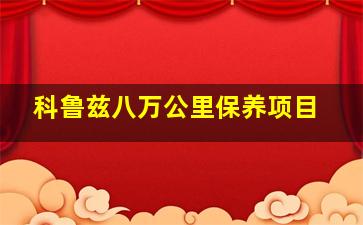 科鲁兹八万公里保养项目