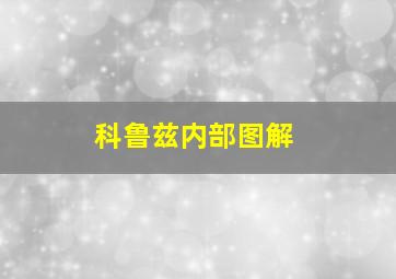 科鲁兹内部图解